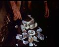 PDVD_1658