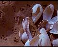 PDVD_1672