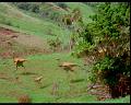 PDVD_1733