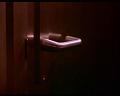 PDVD_2025