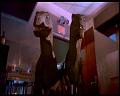 PDVD_2039