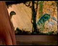 PDVD_2227