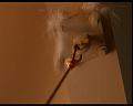 PDVD_2230