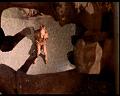 PDVD_2239
