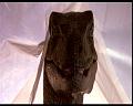 PDVD_2246