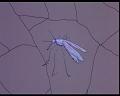 PDVD_402