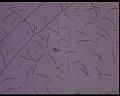 PDVD_403