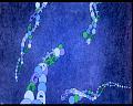 PDVD_443