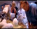 PDVD_490