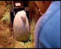 PDVD_494