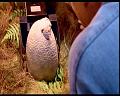 PDVD_495