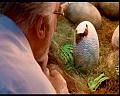 PDVD_496