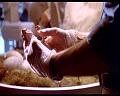 PDVD_538