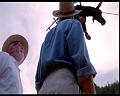 PDVD_553