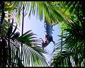 PDVD_556