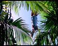 PDVD_557