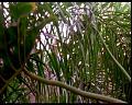 PDVD_561