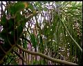 PDVD_562