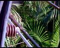 PDVD_564