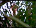 PDVD_566