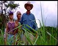 PDVD_829