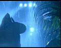 PDVD_979
