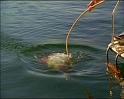 PDVD_1172