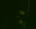PDVD_1189