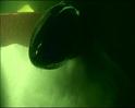 PDVD_1190