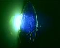 PDVD_1192