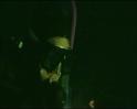 PDVD_1194