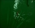 PDVD_1218