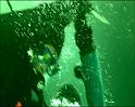 PDVD_1240