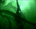 PDVD_1253