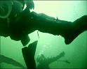 PDVD_1257