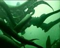 PDVD_1258