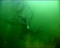 PDVD_1260