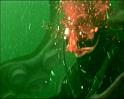 PDVD_1266