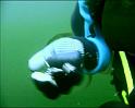 PDVD_1274