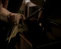 PDVD_1528