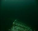 PDVD_1533