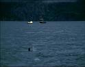 PDVD_1581