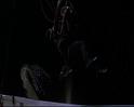 PDVD_1653