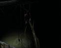 PDVD_1658