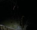 PDVD_1660