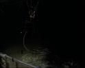 PDVD_1661