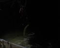 PDVD_1662