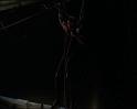 PDVD_1668