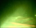 PDVD_350