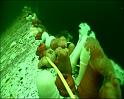 PDVD_368